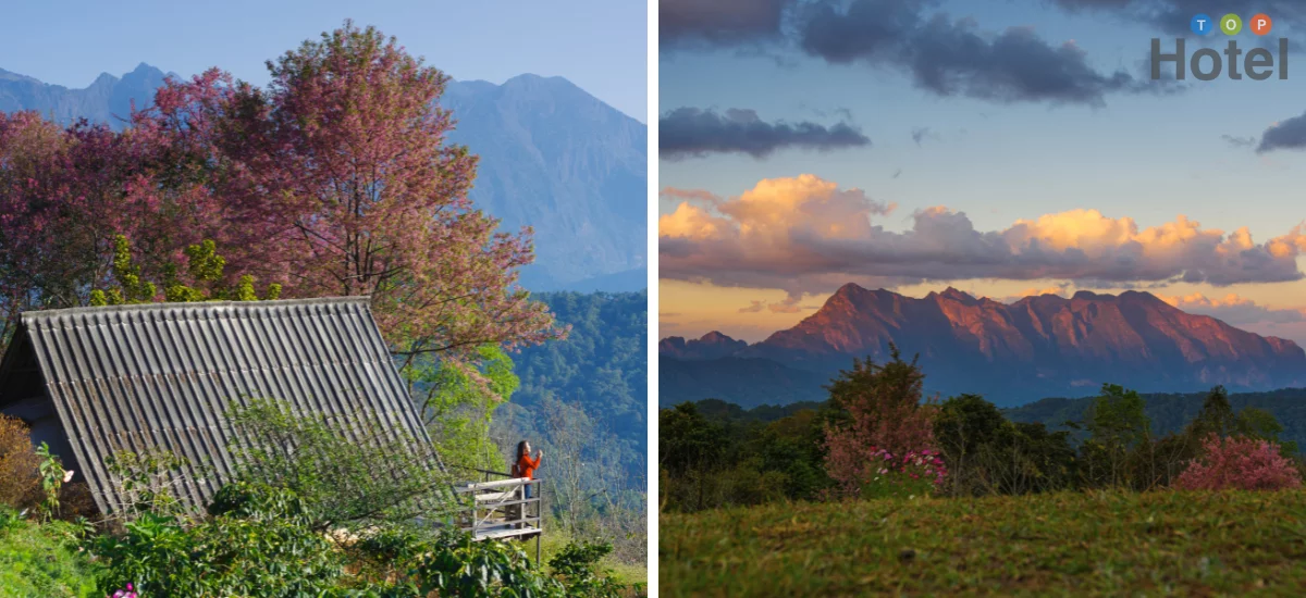 ดอยแม่ตะมาน