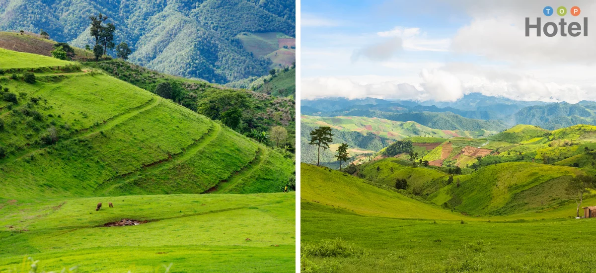 ดอยแม่โถ