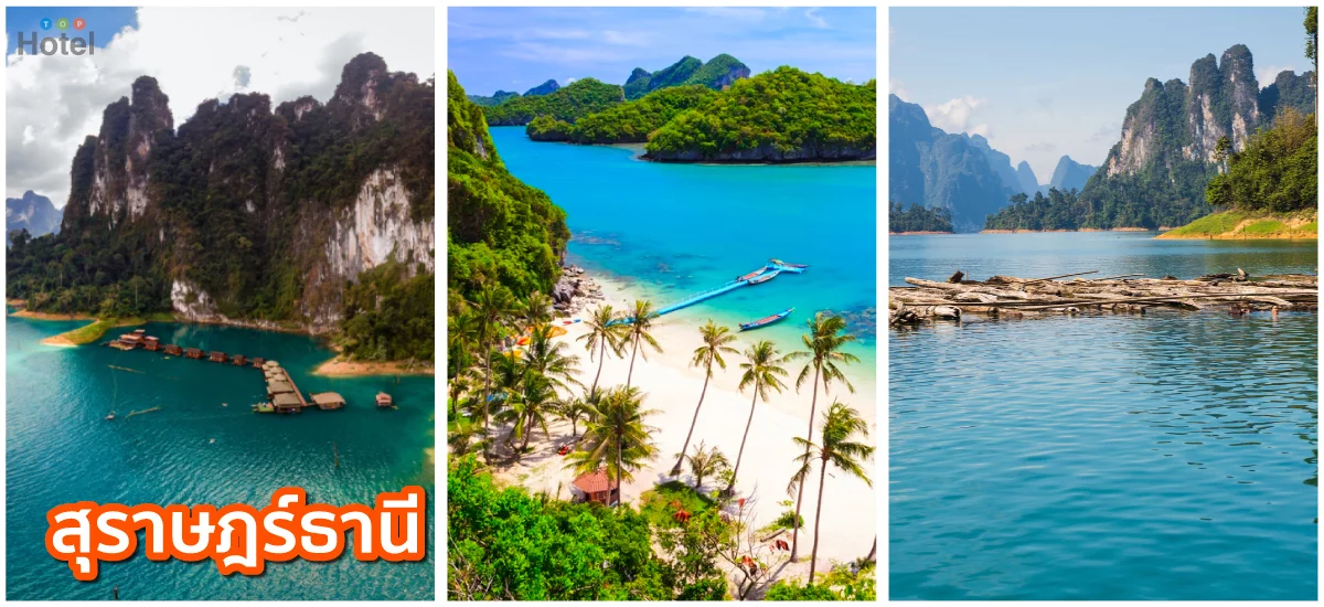 สุราษฎร์ธานี