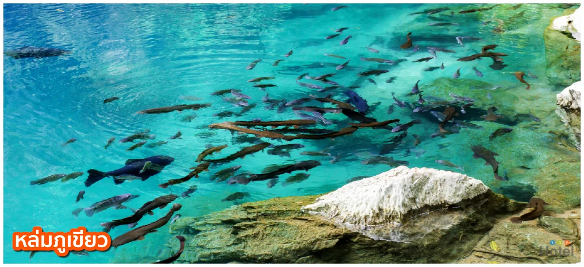 หล่มภูเขียว