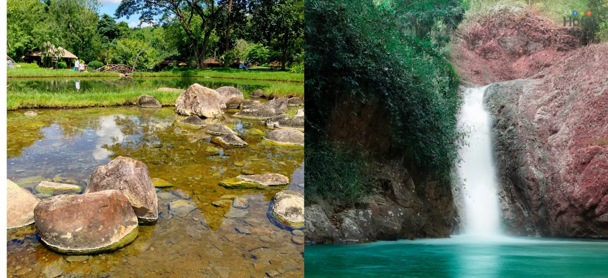 อุทยานแห่งชาติแจ้ซ้อน