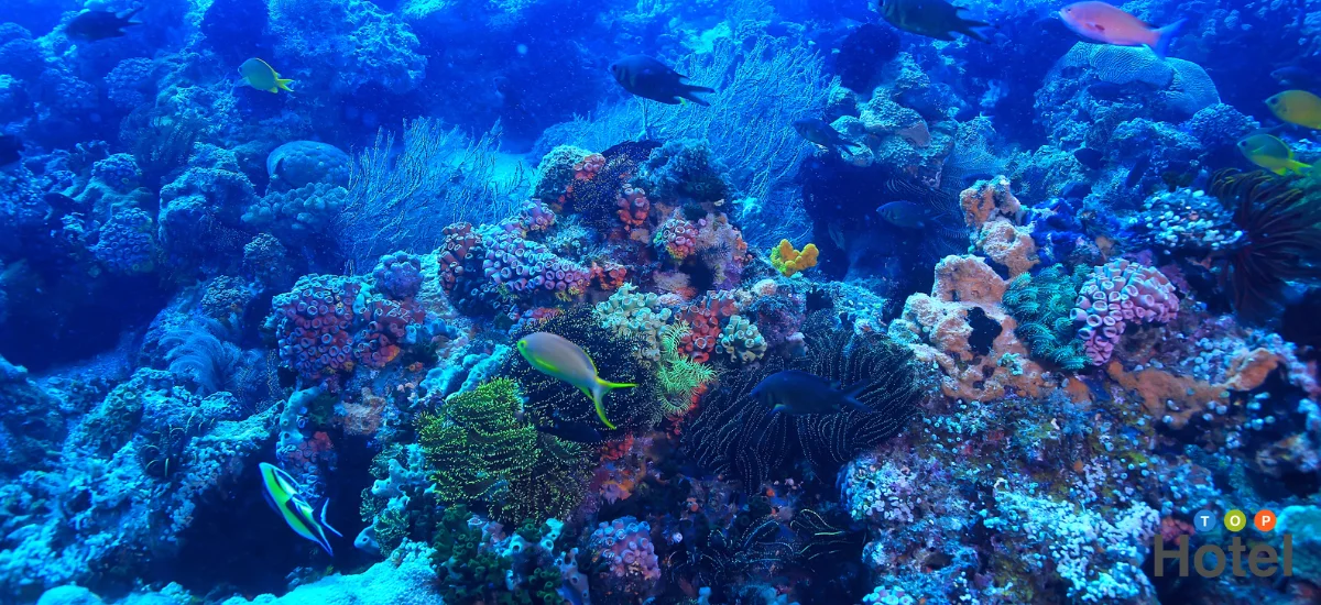 Underwater World Pattaya
