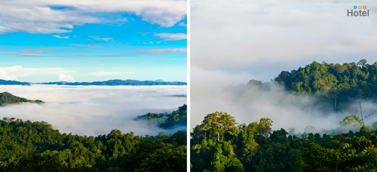 ทะเลหมอกพะเนินทุ่ง