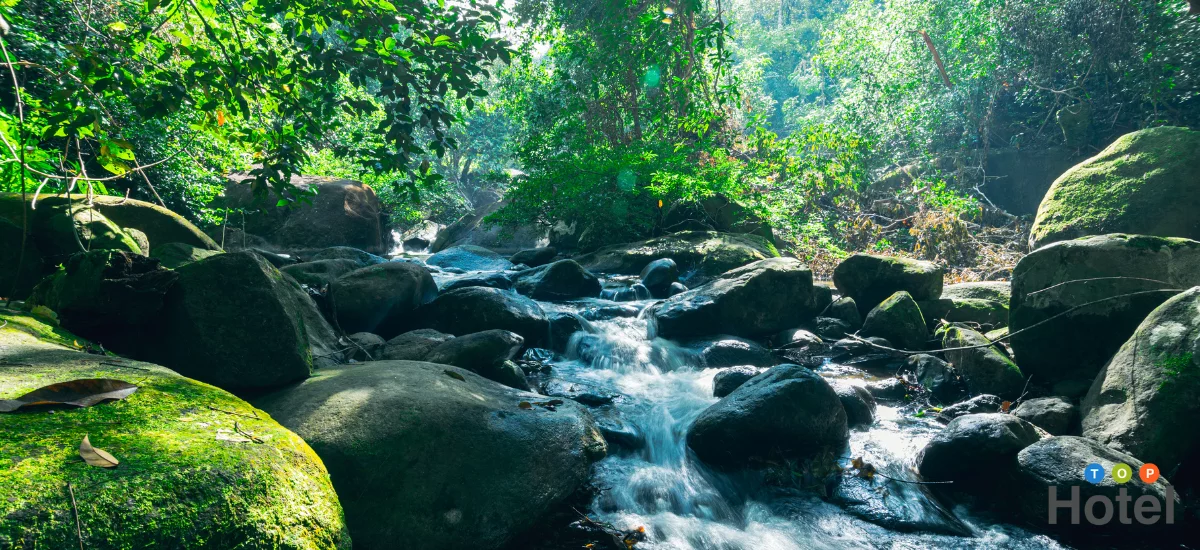 ลักษณะของน้ำตกเขาชะเมา