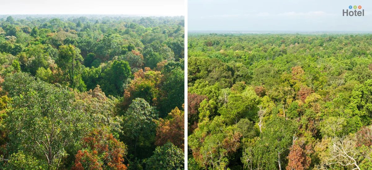 ศูนย์วิจัยและศึกษาธรรมชาติป่าพรุสิรินธร