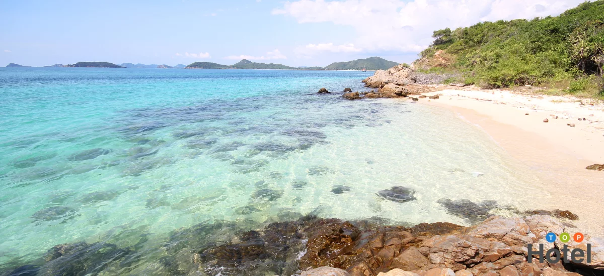 เกาะแสมสาร