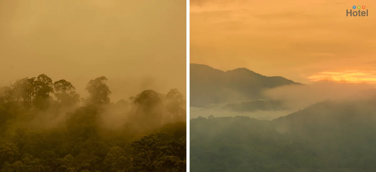 เขตรักษาพันธุ์สัตว์ป่าฮาลา บาลา