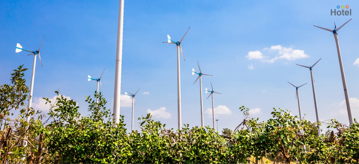 โครงการชั่งหัวมันตามพระราชดำริ